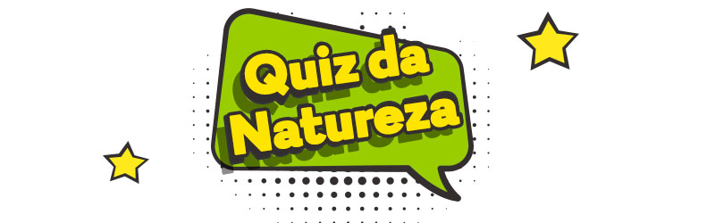 Quiz Estrutura Ecossistema